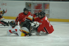 Паралимпийские зимние игры Сочи 2014